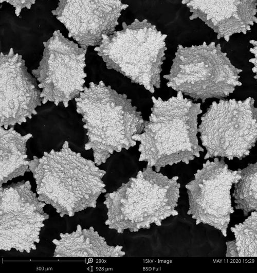 Diamond Abrasive Grains - Micron photo of Metal bond Diamond