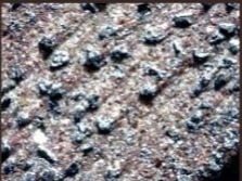 dressed-wheel-225x172